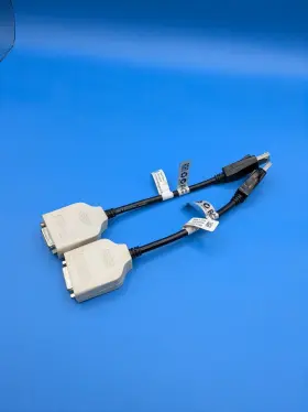 023nvr Amphenol Display Port To Dvi Adapter Cable - Lot Of 2