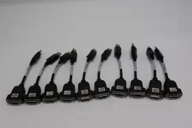 Bizlink F16222-00mre Lot Of 10 Displayport To Dvi-d Adapter Cables Pn Dp Dvi