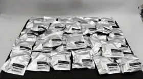 203-ad-ev01-r1 Evga Lot Of 32 Dvi To Vga Adapter Video