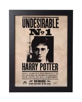 E30x40cm0006 Gb Eye Harry Potter - Ind Sirable N 1 Collector Print Ft30x40cmft Multicoloured