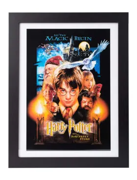 E30x40cm0007 Grupo Erik Gb Eye Harry Potter - A Lft Cole Des Sorciers Collector Print Ft30x40cmft Encadr