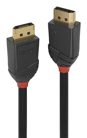 36520 Lindy Displayport Cable 1 M Black