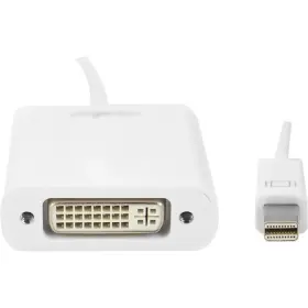 Y10a103-w1 Rocstor 6ft Mini Displayport To Dvi Adapter - 1 Pack X Male