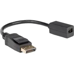 Y10c270-b1 Rocstor Premium Displayport To Mini Adapter Y10c270b1