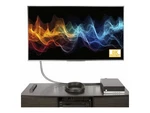 Startechcom Displayport 1.4 Active Cable Vesa Certified 15M. Fixed Price $266.67.