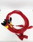 Lot Of Panduit LPCE03/N Dual Locking Power Cords 8FT Red Iec C20 C15 Pdu. Fixed Price $29.99.