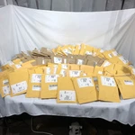 Lot Of 90! New Sealed Hp 752660-001 753744-001 Display Port Dvi Adapter Cable. Fixed Price $89.99.