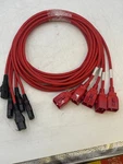 Lot Of Panduit Dual Locking Power Cord, Iec C20 C15, 8FT, Red - LPCE03/N. Fixed Price $30.00.