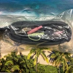 Haurtian LL112842 Dvi Usb Dual Stereo Plugs 5FT Cable New. Fixed Price $28.99.