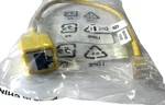 Raritan 1' Serial Rollover CAT5 Cable Male-female CRLVR-1 100-99-0170-00. Fixed Price $20.00.